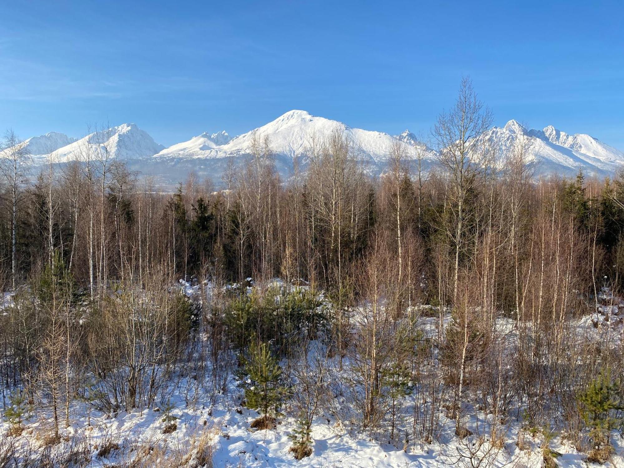 Apartman S Nadhernym Vyhladom Na Tatry Veľký Slavkov Εξωτερικό φωτογραφία